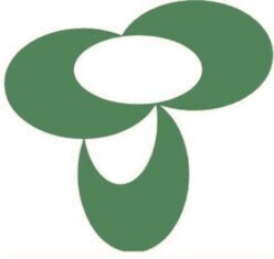 イントラ掲示板